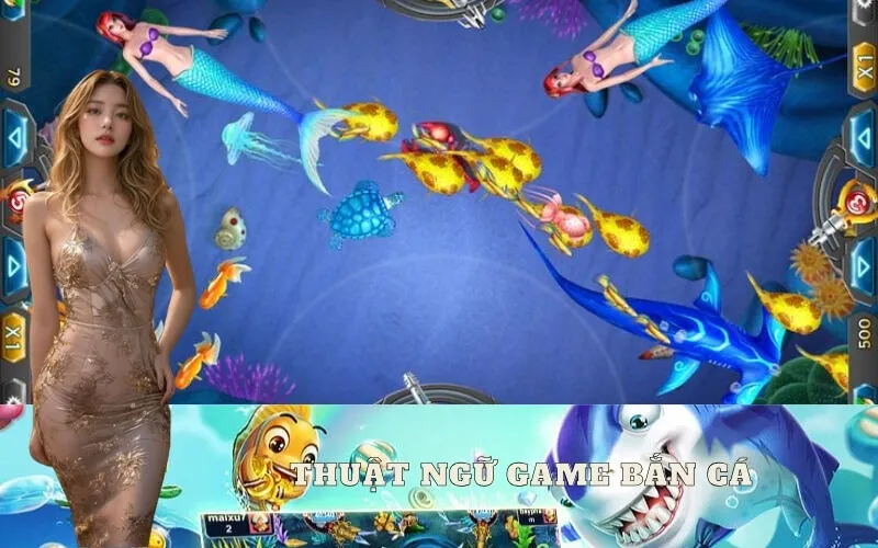 Giải thích các thuật ngữ game bắn cá đổi thưởng phổ biến